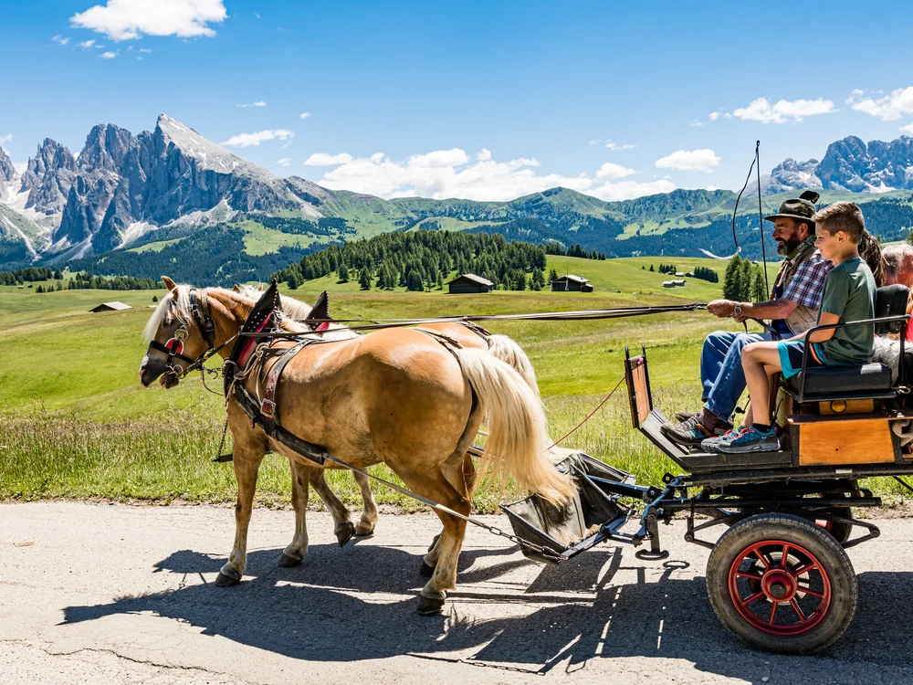 Pferdekutsche mit Menschen vor Berglandschaft und blauem Himmel