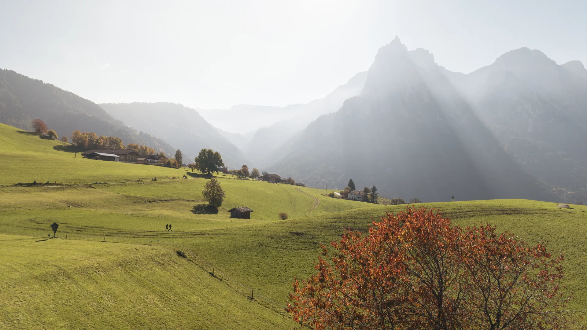 Grüne Almwiese mit Hütten und nebligen Berggipfeln im Hintergrund