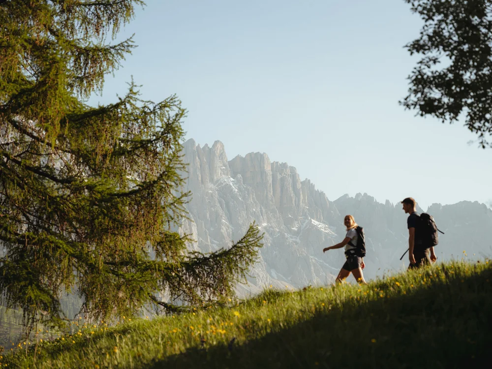 Zwei Wanderer auf einem Bergweg mit Berggipfeln im Hintergrund und Bäumen