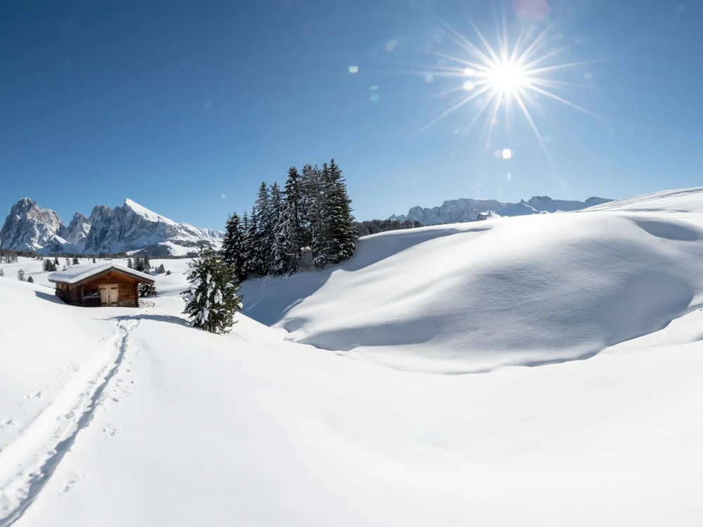 Schneebedeckte Landschaft mit Hütte, Tannenbäumen und Bergen bei Sonnenschein