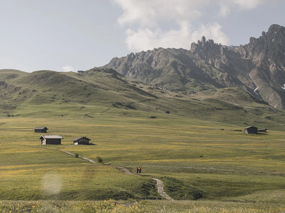 Grüne Bergwiese mit kleinen Holzhütten und schroffen Gipfeln im Hintergrund