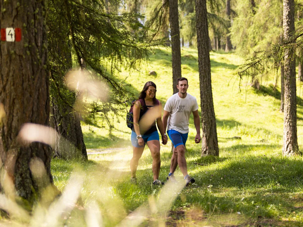 Paar wandert auf Waldweg mit markiertem Baum an sonnigem Tag