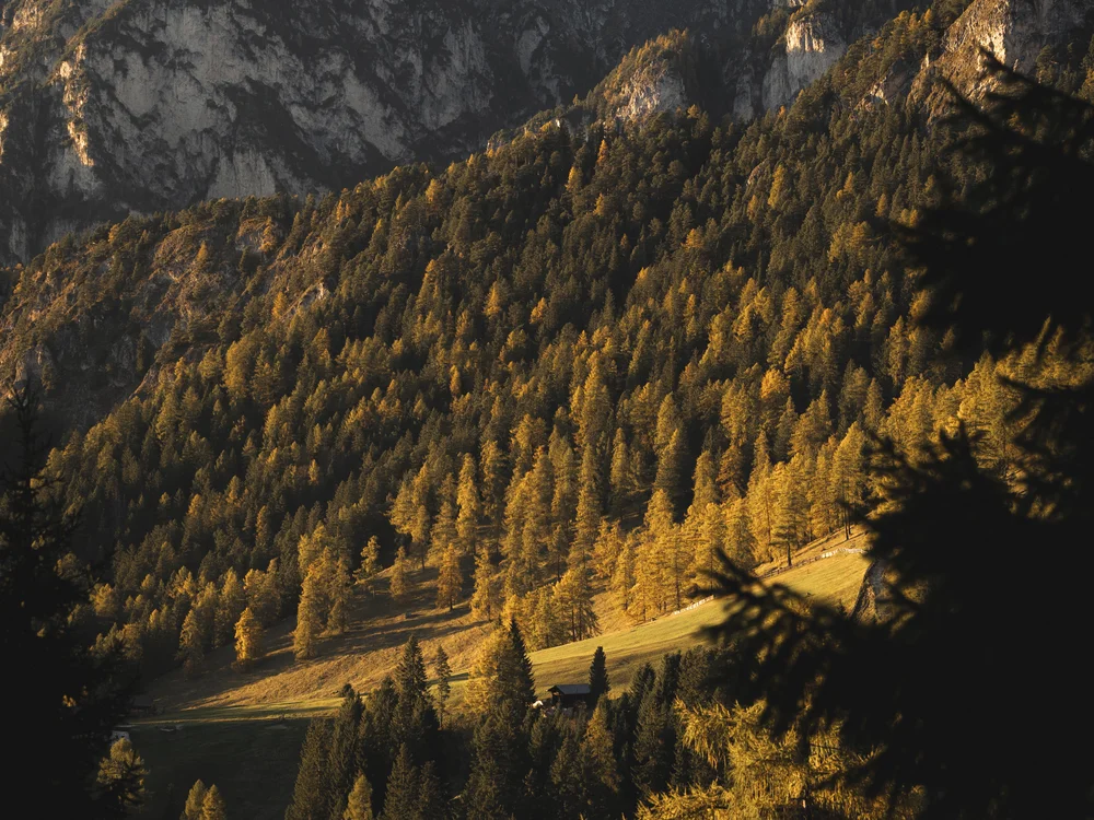 Berglandschaft mit felsigen Gipfeln und herbstlich gefärbtem Wald