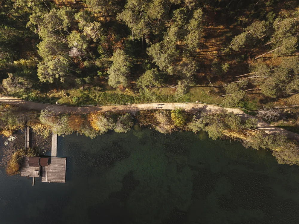 Luftaufnahme eines Waldsees mit Steg und Uferweg