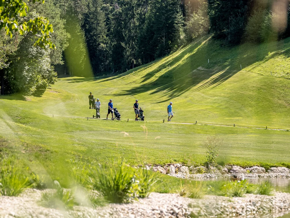 Golfspieler auf grüner Wiese vor Wald bei sonnigem Himmel
