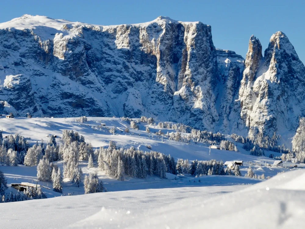 Schneebedeckte Berge und Bäume unter klarem blauem Himmel