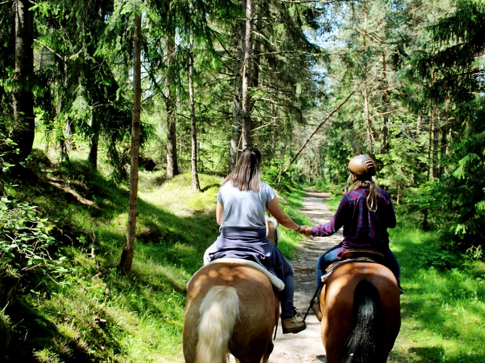 Zwei Frauen reiten auf Pferden und halten sich im Wald an den Händen