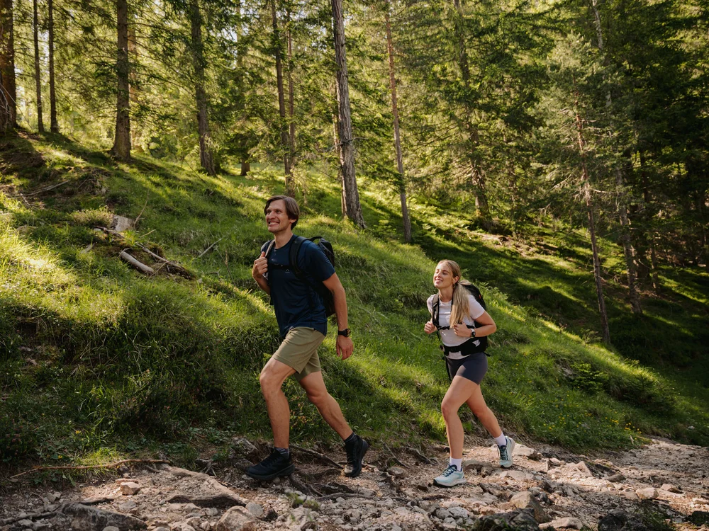 Zwei Wanderer mit Rucksäcken wandern auf Waldweg im sonnigen Wald