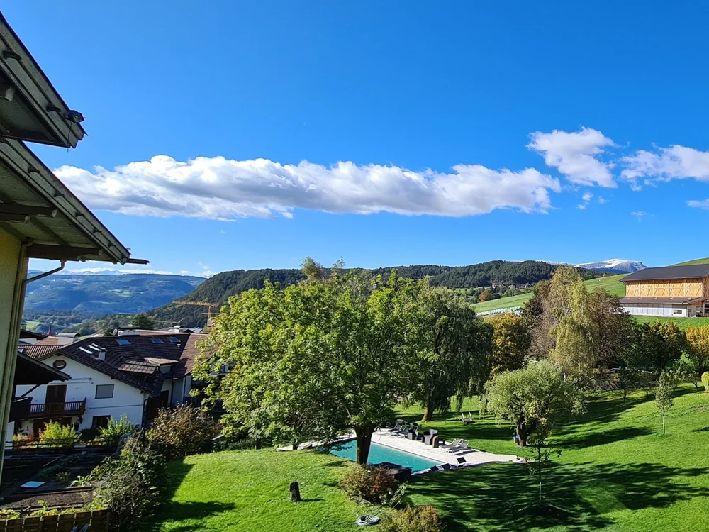 Grüne Landschaft mit Bäumen, Häusern und blauem Himmel mit Wolken